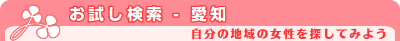 お試し検索 - 愛知県